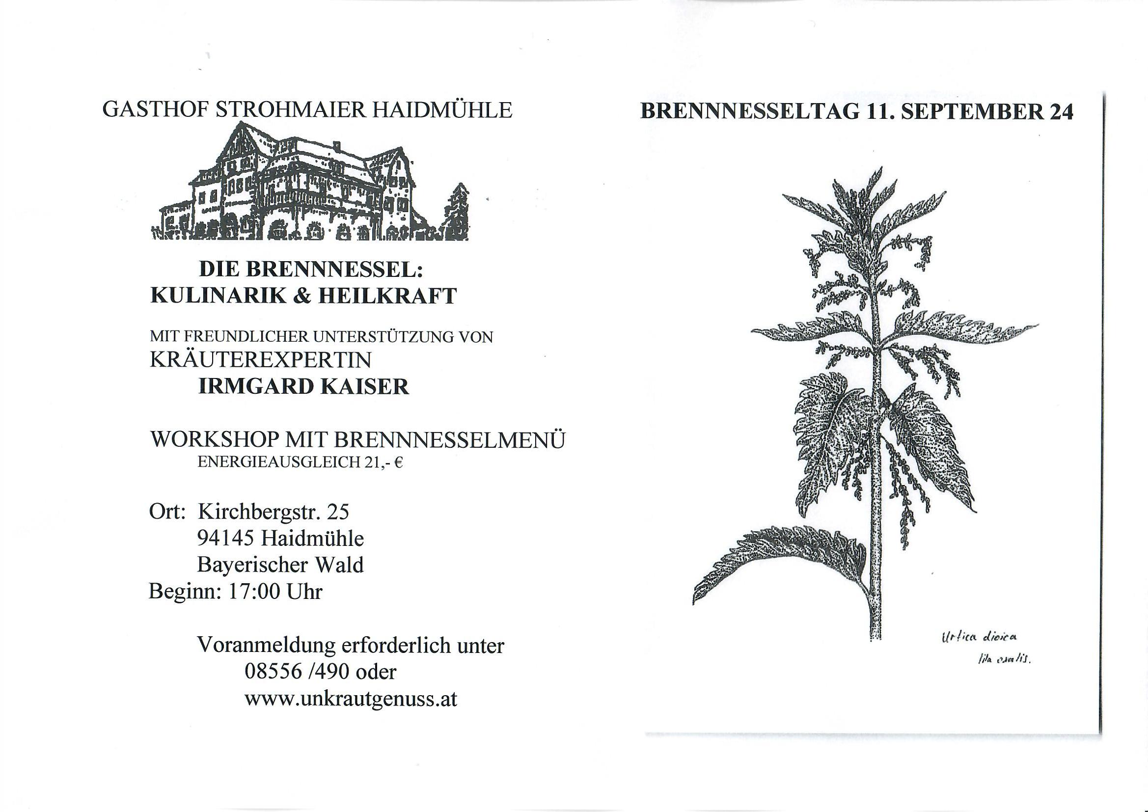 Brennnesseltag11.9