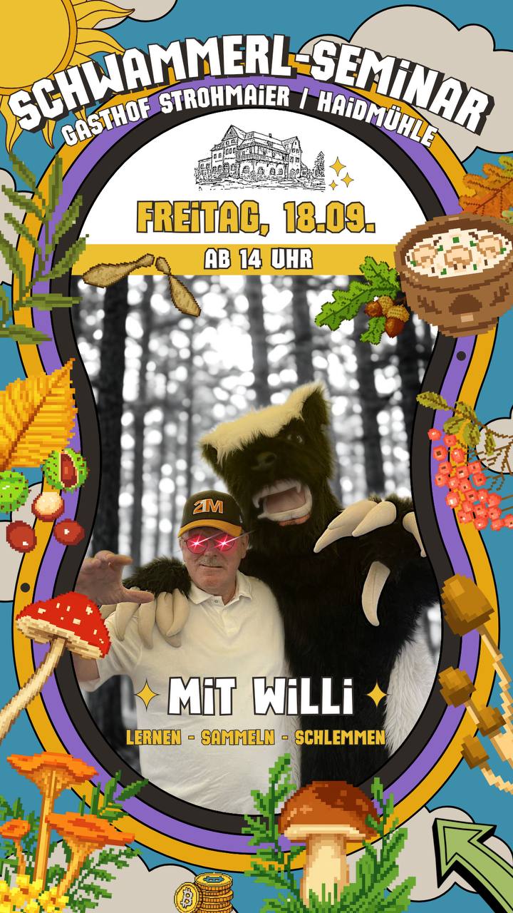 SchwammerlWilli